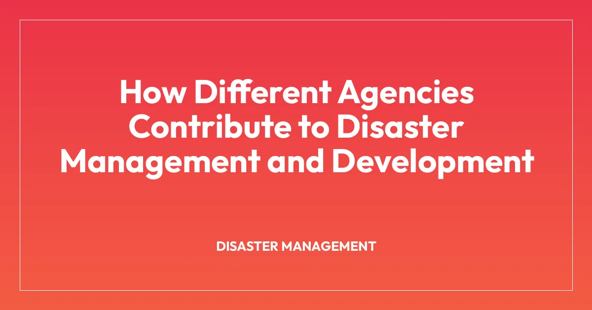 How Different Agencies Contribute to Disaster Management and Development