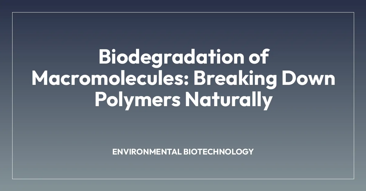 Biodegradation of Macromolecules: Breaking Down Polymers Naturally