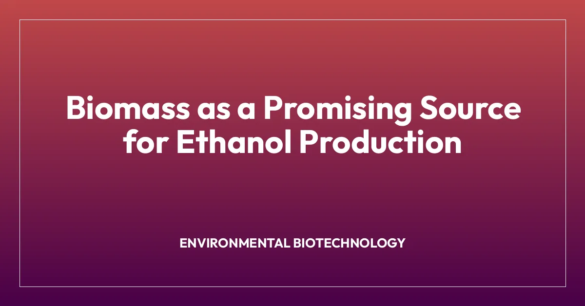 Biomass as a Promising Source for Ethanol Production