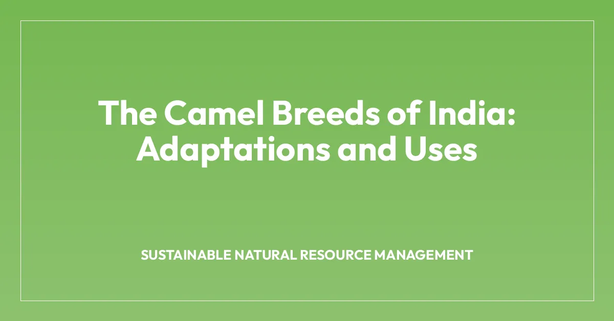 The Camel Breeds of India: Adaptations and Uses