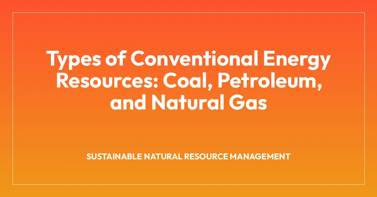 Types of Conventional Energy Resources: Coal, Petroleum, and Natural Gas