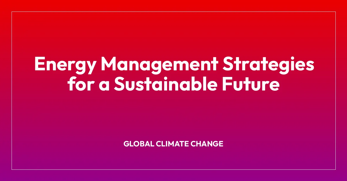 Energy Management Strategies for a Sustainable Future