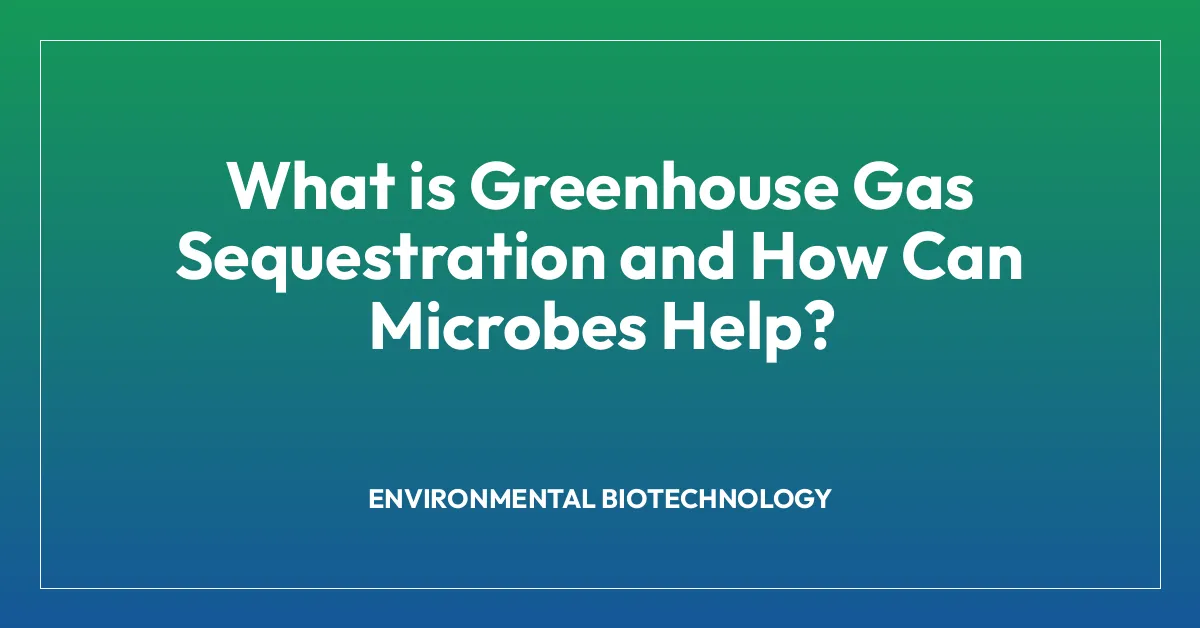 What is Greenhouse Gas Sequestration and How Can Microbes Help?