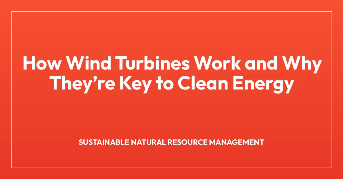How Wind Turbines Work and Why Theyโre Key to Clean Energy