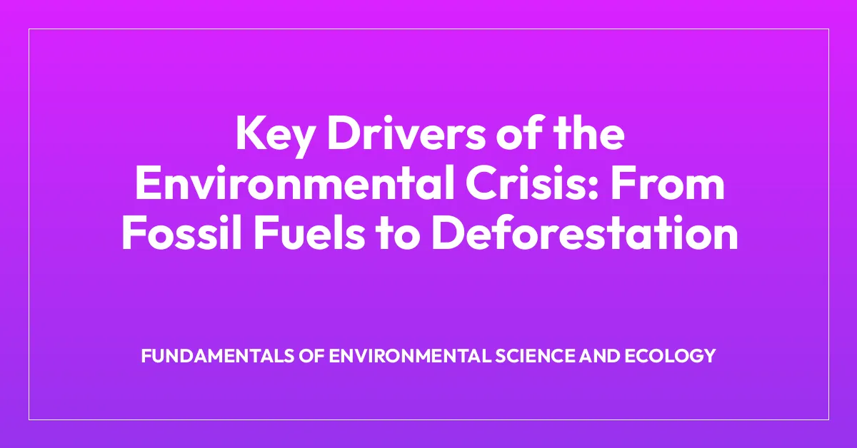 Key Drivers of the Environmental Crisis: From Fossil Fuels to ...