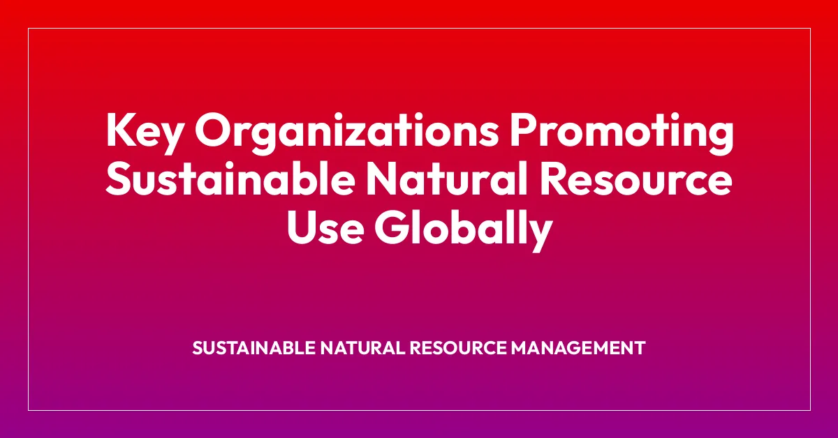 Key Organizations Promoting Sustainable Natural Resource Use Globally