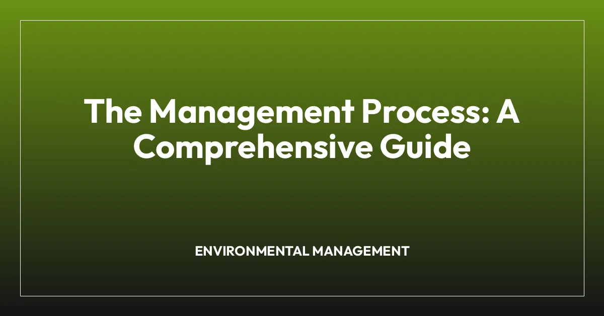 The Management Process: A Comprehensive Guide