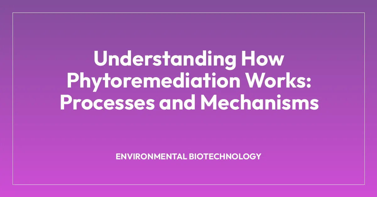 Understanding How Phytoremediation Works: Processes and Mechanisms