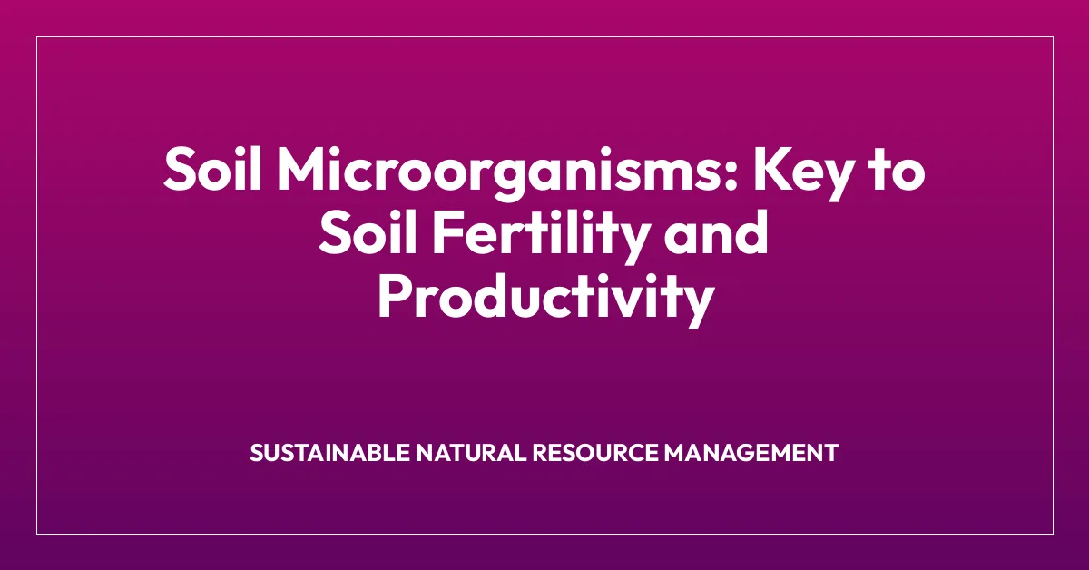 Soil Microorganisms: Key to Soil Fertility and Productivity