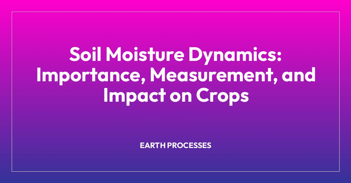 Soil Moisture Dynamics: Importance, Measurement, and Impact on Crops