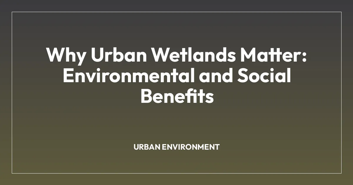 Why Urban Wetlands Matter: Environmental and Social Benefits