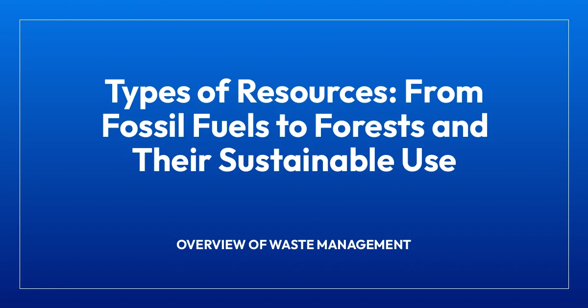 Types of Resources: From Fossil Fuels to Forests and Their Sustainable Use
